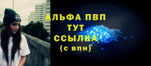 индика Киреевск