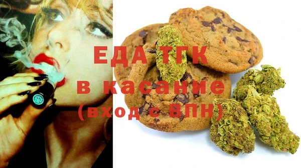 индика Киреевск