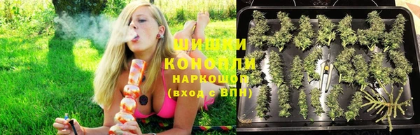 дурь Козловка