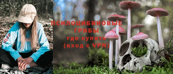 индика Киреевск