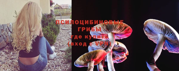 а пвп мука Козельск