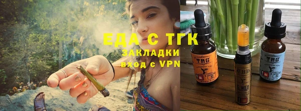 индика Киреевск