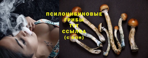 прущая мука Кинешма
