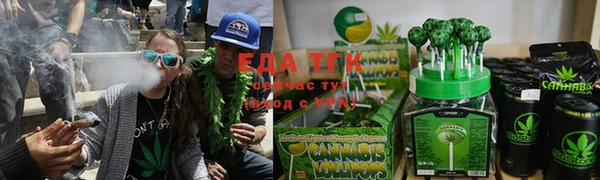 индика Киреевск