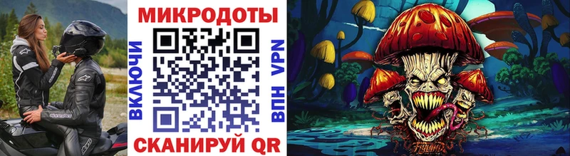 Купить где  Дивногорск  Галлюциногенные грибы Cubensis 